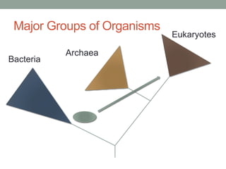 Major Groups of Organisms
Bacteria
Archaea
Eukaryotes
 