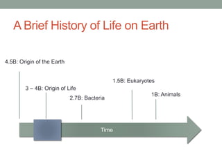 A Brief History of Life on Earth
Time
4.5B: Origin of the Earth
3 – 4B: Origin of Life
2.7B: Bacteria
1.5B: Eukaryotes
1B: Animals
 
