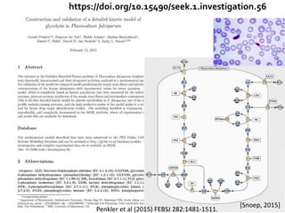 [Snoep, 2015]
https://doi.org/10.15490/seek.1.investigation.56
Penkler et al (2015) FEBSJ 282:1481-1511.
 
