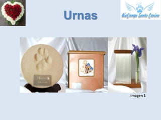 Urnas




        Imagen 1
 