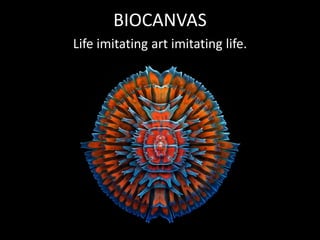 BIOCANVAS
Life imitating art imitating life.
 