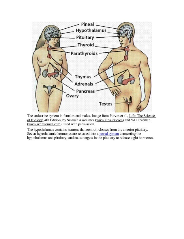 biology unit 2 notes Vbiology home page a site containing lots of revision resources for students studying a-level biology. biology unit 2 notes Vbiology home page a site containing lots of revision resources for students studying a-level biology.