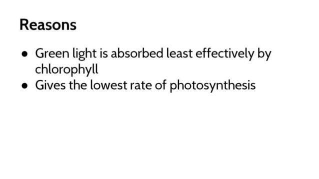 Clear light photosynthesis image
