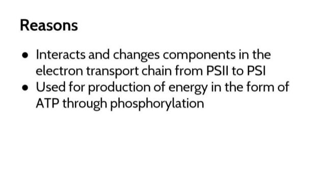 Photosynthesis case study pdf picture