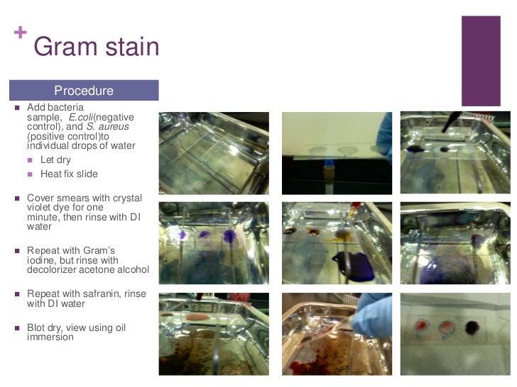 Peanut corporation of america case study image