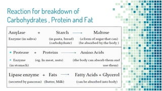 Reaction for breakdown of
Carbohydrates , Protein and Fat
 