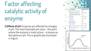 Factor affecting
catalytic activity of
enzyme
5.Effects of pH: Enzymes are affected by changes
in pH. The most favorable pH value - the point
where the enzyme is most active - is known as
the optimum pH. This is graphically illustrated
in Figure.
 