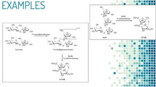 Bio catalysis | PPTX