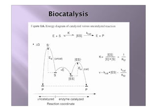 a brief description of biocatalysis of materials | PDF