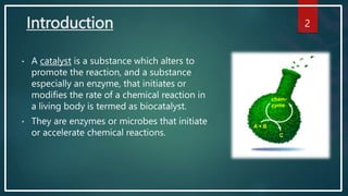 BIOCATALYST.pptx