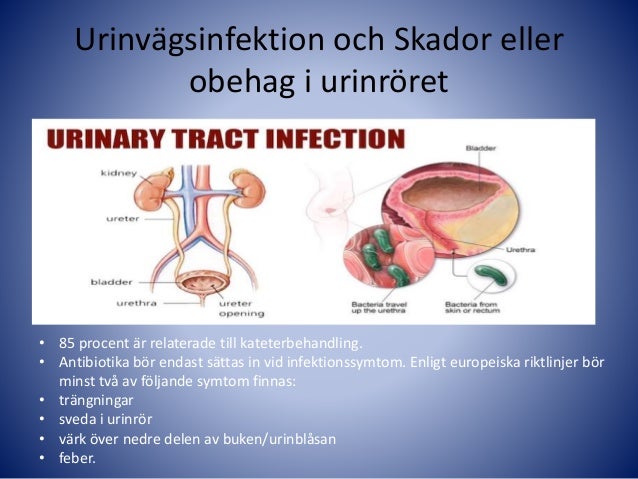 sveda i urinröret sveda i urinröret