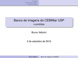 A origem
       O banco de imagens
          Próximas etapas




Banco de imagens do CEBIMar USP
                    o protótipo


                Bruno Vellutini


         2 de setembro de 2010




            Bruno Vellutini   Banco de imagens do CEBIMar
 