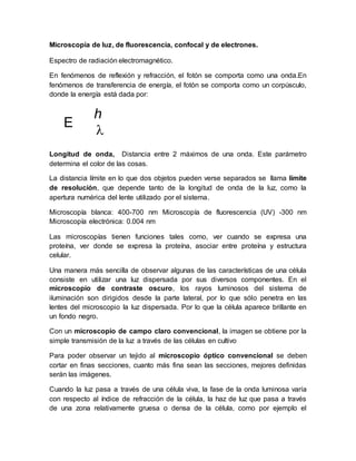 Microscopía de luz, de fluorescencia, confocal y de electrones.
Espectro de radiación electromagnético.
En fenómenos de reflexión y refracción, el fotón se comporta como una onda.En
fenómenos de transferencia de energía, el fotón se comporta como un corpúsculo,
donde la energía está dada por:
Longitud de onda, Distancia entre 2 máximos de una onda. Este parámetro
determina el color de las cosas.
La distancia límite en lo que dos objetos pueden verse separados se llama límite
de resolución, que depende tanto de la longitud de onda de la luz, como la
apertura numérica del lente utilizado por el sistema.
Microscopía blanca: 400-700 nm Microscopía de fluorescencia (UV) -300 nm
Microscopía electrónica: 0.004 nm
Las microscopías tienen funciones tales como, ver cuando se expresa una
proteína, ver donde se expresa la proteína, asociar entre proteína y estructura
celular.
Una manera más sencilla de observar algunas de las características de una célula
consiste en utilizar una luz dispersada por sus diversos componentes. En el
microscopio de contraste oscuro, los rayos luminosos del sistema de
iluminación son dirigidos desde la parte lateral, por lo que sólo penetra en las
lentes del microscopio la luz dispersada. Por lo que la célula aparece brillante en
un fondo negro.
Con un microscopio de campo claro convencional, la imagen se obtiene por la
simple transmisión de la luz a través de las células en cultivo
Para poder observar un tejido al microscopio óptico convencional se deben
cortar en finas secciones, cuanto más fina sean las secciones, mejores definidas
serán las imágenes.
Cuando la luz pasa a través de una célula viva, la fase de la onda luminosa varía
con respecto al índice de refracción de la célula, la haz de luz que pasa a través
de una zona relativamente gruesa o densa de la célula, como por ejemplo el
E
=

h
c
 