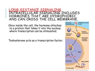Bio_Cell_Communication for grade 12 students.ppt