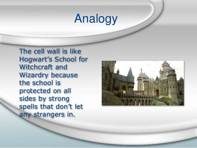 cell analogy project examples