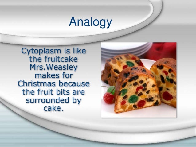 cytoplasm analogy