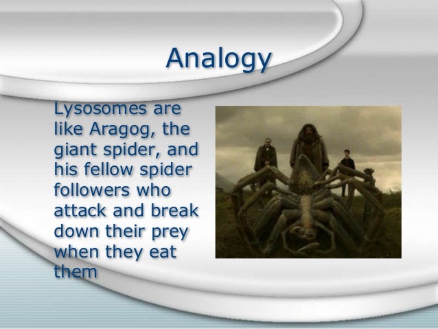 cell analogy project examples