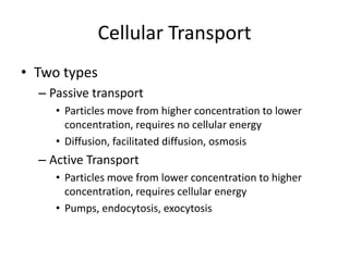 Bio cellular transport | PPTX