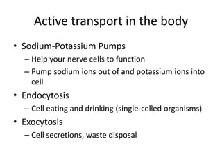 Bio cellular transport | PPTX