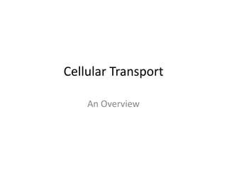 Cellular Transport An Overview 