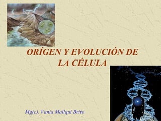 ORÍGEN Y EVOLUCIÓN DE
      LA CÉLULA




Mg(c). Vania Mallqui Brito
 