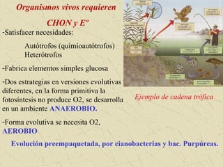 origen y evolución de la célula | PPT