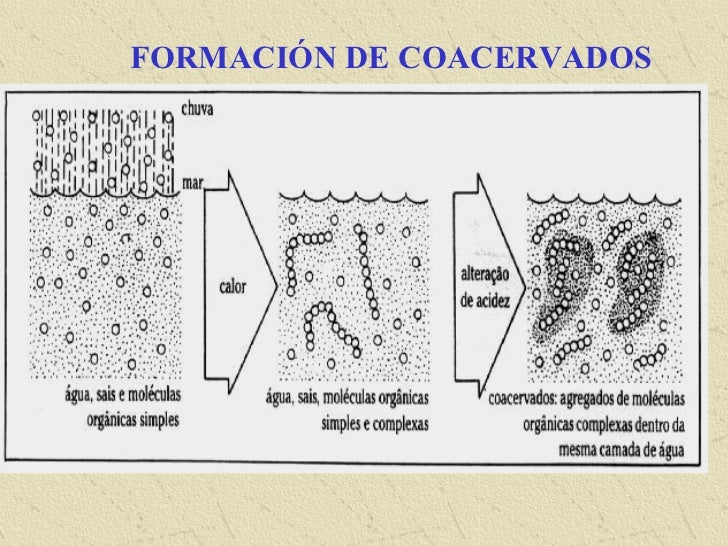origen y evolución de la célula