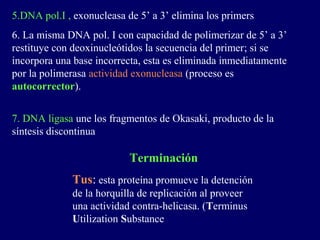 5.DNA pol.I , exonucleasa de 5’ a 3’ elimina los primers
6. La misma DNA pol. I con capacidad de polimerizar de 5’ a 3’
restituye con deoxinucleótidos la secuencia del primer; si se
incorpora una base incorrecta, esta es eliminada inmediatamente
por la polimerasa actividad exonucleasa (proceso es
autocorrector).


7. DNA ligasa une los fragmentos de Okasaki, producto de la
síntesis discontinua

                           Terminación
             Tus: esta proteína promueve la detención
             de la horquilla de replicación al proveer
             una actividad contra-helicasa. (Terminus
             Utilization Substance
 