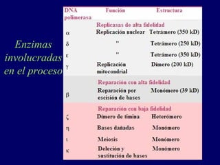 Enzimas
involucradas
en el proceso
 