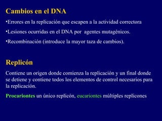Cambios en el DNA
•Errores en la replicación que escapen a la actividad correctora
•Lesiones ocurridas en el DNA por agentes mutagénicos.
•Recombinación (introduce la mayor taza de cambios).



Replicón
Contiene un origen donde comienza la replicación y un final donde
se detiene y contiene todos los elementos de control necesarios para
la replicación.
Procariontes un único replicón, eucariontes múltiples replicones
 