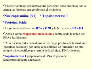 En el ensamblaje del nucleosoma participan otras proteínas que se
unen a las histonas que conforman el octámero:

*Nucleoplasmina (N1)         * Topoisomerasa I
*Proteína ácida
La proteína ácida se une H2A y H2B y la N1 se une a H3 e H4.
Actúan como chaperonas moleculares controlando la unión del
DNA a las histonas.
Al ser ácidas reducen la densidad de carga positiva de las histonas
(proteínas básicas) y por tanto la posibilidad de formación de otro
complejo inespecífico que resulte de la afinidad DNA-histonas.
*Topoisomerasa I proporciona al DNA el grado de
superenrrollamiento adecuado.
 