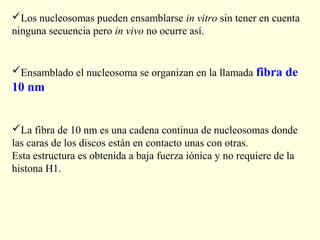 Los nucleosomas pueden ensamblarse in vitro sin tener en cuenta
ninguna secuencia pero in vivo no ocurre así.


Ensamblado el nucleosoma se organizan en la llamada fibra de
10 nm


La fibra de 10 nm es una cadena continua de nucleosomas donde
las caras de los discos están en contacto unas con otras.
Esta estructura es obtenida a baja fuerza iónica y no requiere de la
histona H1.
 