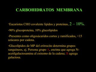 CARBOHIDRATOS MEMBRANA


-Eucariotas CHO covalente lipidos y proteinas, 2   – 10%.
-90% glucoproteina, 10% glucolípidos
-Presentes como oligosácaridos cortos y ramificados, <15
azúcares por cadena.
-Glucolípidos de MP del eritrocito determina grupos
sanguíneos, ej. Persona grupo A, enzima que agrega N-
acetilgalactosamina al extremo de la cadena; B agrega
galactosa.
 