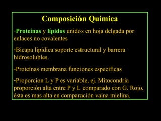 Composición Química
-Proteínas y lípidos unidos en hoja delgada por
enlaces no covalentes
-Bicapa lipídica soporte estructural y barrera
hidrosolubles.
-Proteínas membrana funciones especificas
-Proporcion L y P es variable, ej. Mitocondria
proporción alta entre P y L comparado con G. Rojo,
ésta es mas alta en comparación vaina mielina.
 
