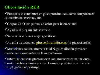 Glicosilación RER
Proteínas se convierten en glucoproteínas sea como componentes
de membrana, enzimas, etc.
Grupos CHO son puntos de unión para interacciones
Ayudan al plegamiento correcto
Secuencia azúcares muy específicas
Adición de azúcares: glucosiltransferasas (N-glucosilación)
Mutaciones causan ausencia total N-glucosilación provocan
muerte embriones antes de la implantación.
Interrupciones vía glucosilación son productos de mutaciones,
transtornos hereditarios graves . La nueva proteína o permanece
mal plegada o se destruye.
 