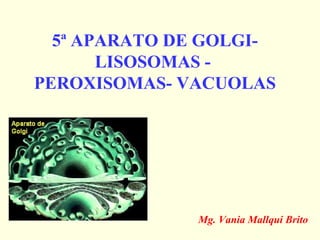 5ª APARATO DE GOLGI-
       LISOSOMAS -
PEROXISOMAS- VACUOLAS




              Mg. Vania Mallqui Brito
 