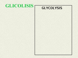 GLICOLISIS
 