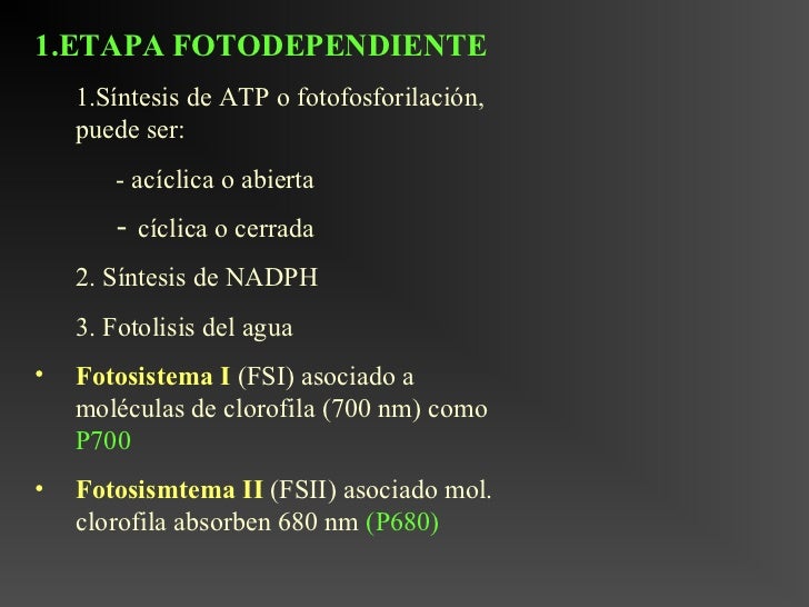 10 cosas sobre Ibuprofeno metabolismo