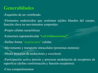 Generalidades
-Esqueleto de un vertebrado.
-Elementos endurecidos que sostienen tejidos blandos del cuerpo,
función clave en movimientos corporales.
-Propio células eucarióticas
-Estructura supramolecular “red tridimencional”
-Define forma “arquitectura” celular.
-Movimiento y transporte intracelular (proteínas motoras)
-Media procesos de endocitosis y exocitosis
-Participación activa mitosis y procesos modulación de receptores de
superficie (define conformación y función receptores)
-Crea compartimientos
 