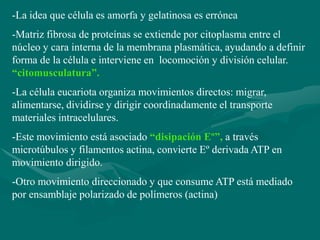 -La idea que célula es amorfa y gelatinosa es errónea
-Matriz fibrosa de proteínas se extiende por citoplasma entre el
núcleo y cara interna de la membrana plasmática, ayudando a definir
forma de la célula e interviene en locomoción y división celular.
“citomusculatura”.
-La célula eucariota organiza movimientos directos: migrar,
alimentarse, dividirse y dirigir coordinadamente el transporte
materiales intracelulares.
-Este movimiento está asociado “disipación Eº”, a través
microtúbulos y filamentos actina, convierte Eº derivada ATP en
movimiento dirigido.
-Otro movimiento direccionado y que consume ATP está mediado
por ensamblaje polarizado de polímeros (actina)
 