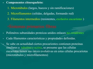 - Componentes citoesqueleto:
   1. Microtúbulos (largos, huecos y sin ramificaciones)
   2. Microfilamentos (sólidas, delgadas, formando red)
   3. Filamentos intermedios (resistentes, exclusivo eucariotas )

   *Sistemas       primarios fibras
- Poliméros subunidades proteicas unidos enlaces no covalentes
- Cada filamentos características y propiedades definidas.
- Se sabe en actualidad ciertos procariontes contienen proteínas
  similares a tubulina y actina, se presume que las células
  eucariotas tienen sus raíces evolutivas en estas células procariotas
  (microtúbulos y microfilamentos)
 