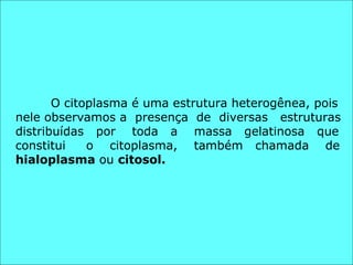 O citoplasma é uma estrutura heterogênea, pois  nele observamos a  presença  de  diversas  estruturas  distribuídas  por  toda  a  massa  gelatinosa  que  constitui  o  citoplasma,  também  chamada  de  hialoplasma  ou  citosol. 