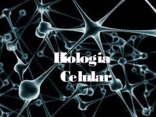 Biologia
 Celular
 