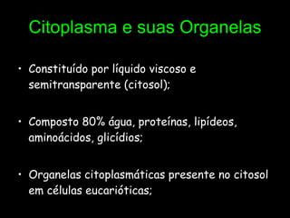 Citoplasma e suas Organelas Constituído por líquido viscoso e semitransparente (citosol); Composto 80% água, proteínas, lipídeos, aminoácidos, glicídios; Organelas citoplasmáticas presente no citosol em células eucarióticas; 