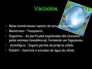 Vacúolos Bolsa membranosa repleta de solução aquosa; Membrana – Tonoplasto. Digestivo - As partículas englobadas são atacadas pelas enzimas lisossômicas, formando um fagossomo. Autofágico - Digere partes da própria célula. Pulsátil - Controla o excesso de água da célula  