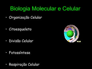 Biologia Molecular e Celular   Organização Celular Citoesqueleto Divisão Celular Fotossíntese Respiração Celular 