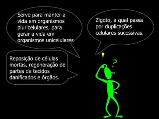 Serve para manter a vida em organismos pluricelulares, para gerar a vida em organismos unicelulares Zigoto, a qual passa por duplicações celulares sucessivas.  Reposição de células mortas, regeneração de partes de tecidos danificados e órgãos.  