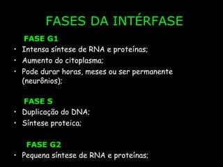 FASES DA INTÉRFASE FASE G1 I ntensa síntese de RNA e proteínas; Aumento do citoplasma;  Pode durar horas, meses ou ser permanente (neurônios); FASE S Duplicação do DNA; Síntese proteica; FASE G2 Pequena  síntese de RNA e proteínas;   
