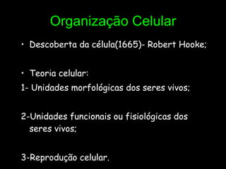 Organização Celular Descoberta da célula(1665)- Robert Hooke; Teoria celular: 1- Unidades morfológicas dos seres vivos; 2-Unidades funcionais ou fisiológicas dos seres vivos; 3-Reprodução celular. 