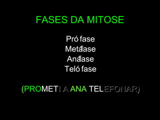 FASES DA MITOSE Prófase Metáfase Anáfase Telófase ( PRO MET I A  ANA   TEL EFONAR) 